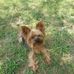 Stacy Eldridge - Facebook