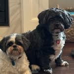 Stacy Ellison - @stacykellison - Instagram
