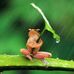 Stacy Elswick - Facebook