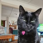 Stacey Kimberley Elwell - @selwell71 - Instagram