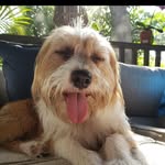 Stacy Whitt English - @stacywhittenglish - Instagram