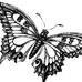 Stacey Epperson - Facebook