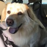Stacy Fields - @stacyfields606 - Instagram