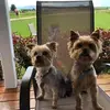 Stacy Fraser396 - @stacyfraser396 - TikTok