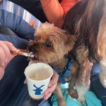 Stacy Fraser - @stacy.fraser.9 - Instagram