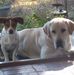 Stacy Fulton - Facebook