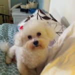 Jennifer Stacy Funk - @funk1284 - Instagram