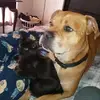 Stacy Garver Jadoon - @stacy.garver.jado - TikTok