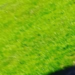 gavin stacy - @gavin_stacy_l8 - Instagram