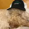 stacygavin2 - @stacygavin2 - TikTok