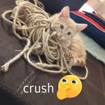 Stacy Goble - @smgoble42 - Instagram