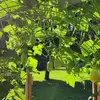 Stacy Good - @stacy.good87 - TikTok
