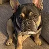 stacygoulet961 - @stacygoulet961 - TikTok