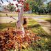 Stacey Grider Weisser - Facebook