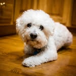 Stacy Grider - @amazinggracephotomom - Instagram