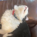 Stacy Grier - @seattleseashore - Instagram