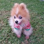 Stacy Grubb - @slgmonkey73 - Instagram