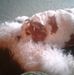 Stacy Gruca - Facebook
