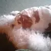 Stacy Gruca - @stacy.gruca - TikTok