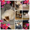 Stacy Lynn Hammell - @stacy.lynn.hammel - TikTok