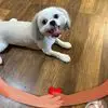 stacyhammond76 - @stacy.hammond2 - TikTok