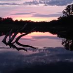 Stacy Handy - @infinitysbottomline - Instagram