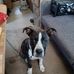 Stacy Handy - Facebook
