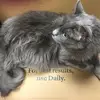 Stacy Hare733 - @stacyhare733 - TikTok