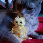 Stacy Harper - @stacyharper796 - Instagram