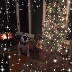 Stacy Hartman - @stacy_zeusy - Instagram