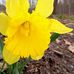 Stacy Hixenbaugh Hartman - Facebook