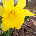 Stacy Hixenbaugh Hartman - @stacyhixenbaugh - Instagram