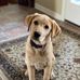 Stacy Hathaway - Facebook