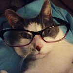 Stacy Havens - @mybluehaven - Instagram