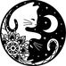 Stacy Havens - Facebook