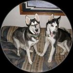Stacy Schlepp Heide - @stacyheide6_ - Instagram
