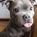 Stacy Heller - Facebook