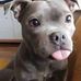Stacy Heller - Facebook