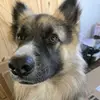 stacyheller00 - @stacyheller00 - TikTok