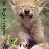 stacyheller509 - @stacyheller509 - TikTok