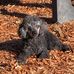 Stacy Helms - Facebook