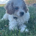 Stacy Henning-Besette - @henning9287 - Instagram