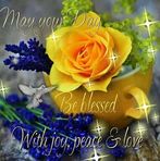 Stacy R. Hilliard - Facebook