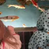 Stacy Hoffman - @stacy.hoffman84 - TikTok