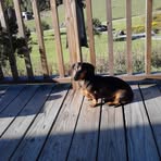 Stacy Holderbaum - Facebook