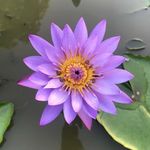 Stacy Horn - @stacyh7114 - Instagram