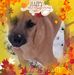 Stacy Houk - Facebook