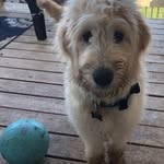 Stacy Houser - @stacy.houser.520 - Instagram