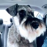 Stacy Choat Hull - @stacy.c.hull - Instagram