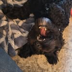 Stacy Petit Imhoff - @petitimhoff - Instagram